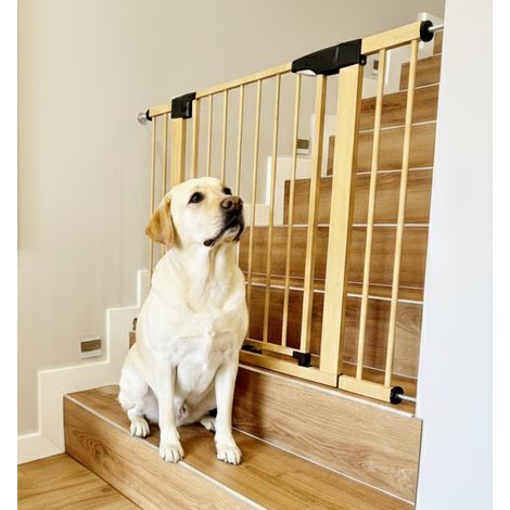 Cancello di sicurezza per cani, estensibile, non richiede forature, in acciaio, fino a 103 cm. (1/5)