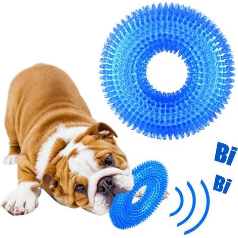 Hundespielzeug, Quietschspielzeug für Hunde, langlebiges Kauspielzeug für Hunde, Wasserpoolspielzeug für kleine Hunde, Hundespielzeug für Langeweile, Zahnreinigung, Naturkautschuk, Blau (1/5)