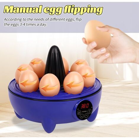 Incubateur, incubateur pour volailles 8 œufs avec contrôle de l'humidité et de la température, mini incubateur automatique adapté aux poussins, cailles, canards, oies, oiseaux et dindes. (1/3)