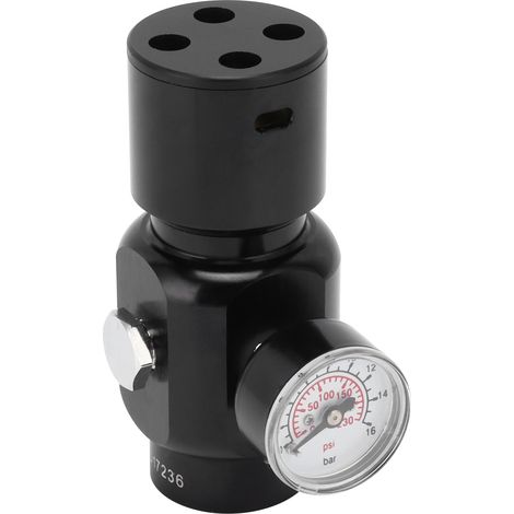Mini régulateur de dioxyde de carbone en acier inoxydable, régulateur portable pour fût de bière à usage domestique. (1/5)