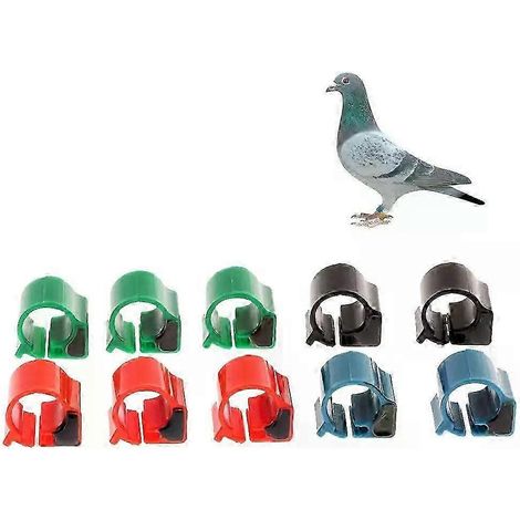 10x Étiquettes RFID électroniques pour oiseaux, pigeons, poulets et canards (anneaux de patte) pour le suivi (1/5)