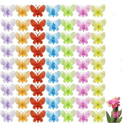Filiyano-100 pinces à orchidées, supports pour orchidées, pinces en plastique colorées pour plantes grimpantes (1/5)
