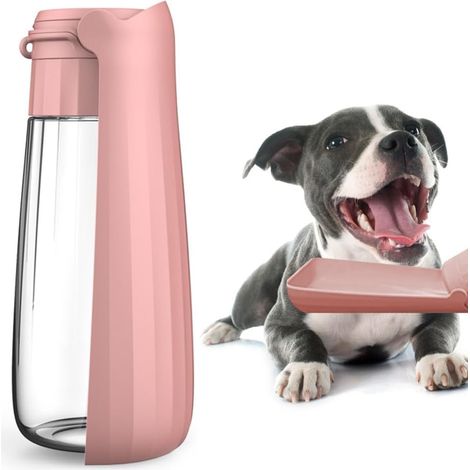 Bouteille Plein Air Chien, Gourde Chien Pliable de 550 ML, Bol d'eau de Promenade pour Chien et Chat, Mangeoire sans BPA avec Cartouche Filtrante Intégrée pour Les promenades, la Marche en Plein Air (1/5)