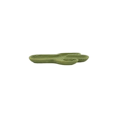 CACTUS TRAY CM 34X20X3 (1/5)
