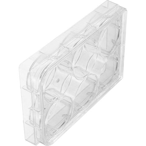 Plaque de Culture Tissulaire en Mousse Blanche 6 Puits Couvercle, Performance Fiable pour Laboratoire, Environnement pour Croissance Cellulaire (1/5)