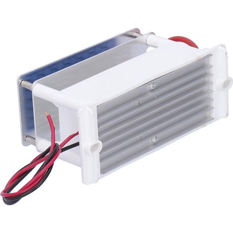 Générateur d'ozone 10 g, unité de désinfection et de purification de l'air, 110 V CA (1/5)