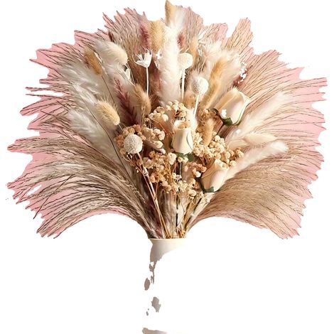 Fiori secchi, bouquet di erba della pampa, decorazioni per la casa e per matrimoni, FPL-HWC-41 (1/2)