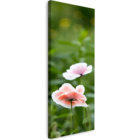 Leinwanddruck Botanik Mohnblumen 40x120 cm