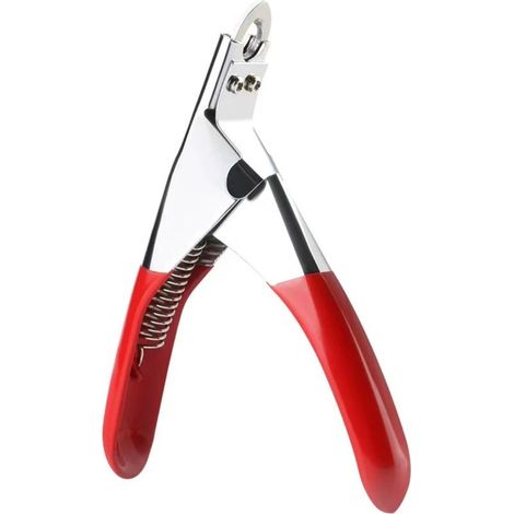 Coupe-ongles professionnel pour chiens et chats, outil de toilettage en acier inoxydable, compatible avec les chiens et chats de petite et moyenne taille. (1/5)