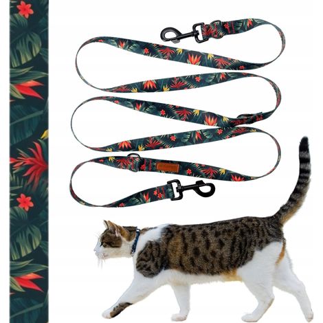 Laisse réglable universelle de 3 mètres pour chats jusqu'à 3 kg Ukory GREEN jungle (1/5)