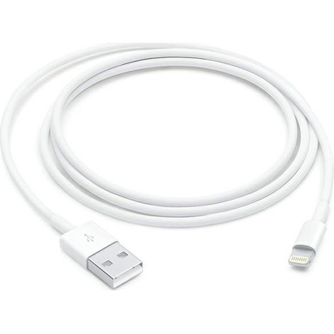LIGHTNING TO USB CABLE (1M) (1/3)