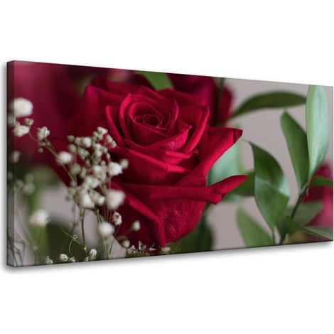Leinwanddruck Botanische rote Rosen 80x40 cm