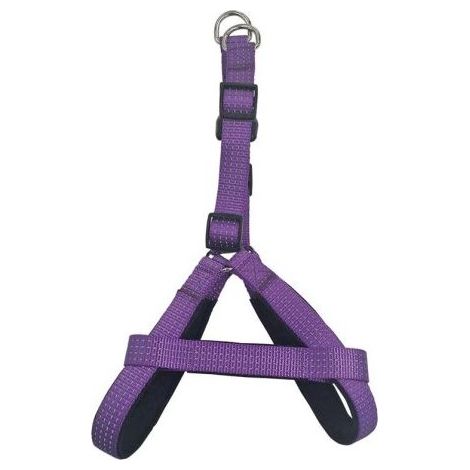ARNES NYLON LISO MORADO 1.5 x 40-50 cm.