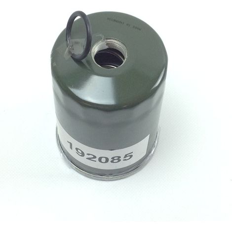 Filtro carburante motore Diesel trattorino rasaerba originale BRIGGS & STRATTON