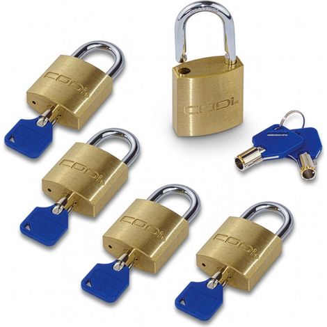 5er Set Bügelschlösser mit Einzelschließung Vorhängeschlösser 30mm