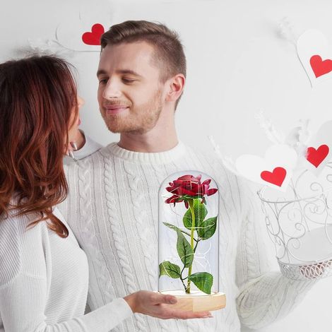 Die Schöne und das Biest – Rosa, ewige Rosenblüten in einer transparenten Kuppel mit LED-Lichtleiste, für Valentinstag, Hochzeitsfeier, Muttertag, Heim- und Bürodekoration (1/4)