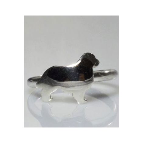 Goldener Ring aus Sterlingsilber