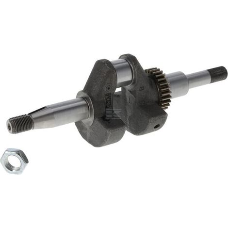 Vilebrequin BRIGGS & STRATTON 797078