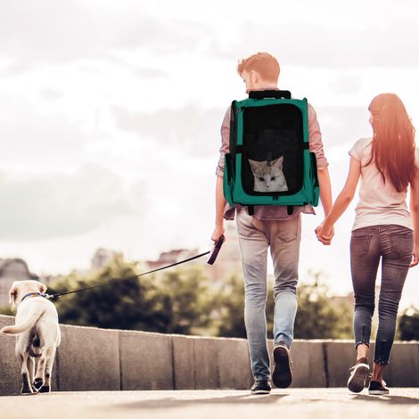 Zaino trasportino o trolley da viaggio 2 in 1 PawHut per cani e gatti con 2 ruote, maniglia retrattile in alluminio e tasche, 42x25x55 cm, verde.