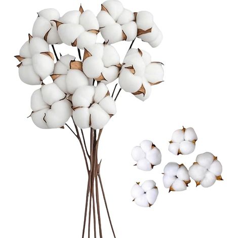 Fleurs de Coton Séchées avec Tige et Tête Blanc 42cm pour Décoration de Vase Balcon Maison Table Composition Florale, d'intérieur (1/5)