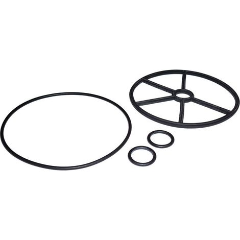 Astralpool – Jeu de joints pour vanne multivoies 1½' – 1 joint couvercle, 1 joint étoile, 2 joints axe – Compatible modèles 00599/00597/00598