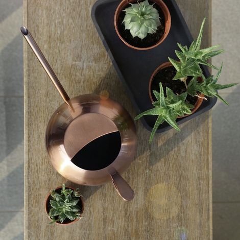 Arrosoir en acier inoxydable 1000 ml, pot à large ouverture, outil pour fleurs et plantes de jardin, bronze (1/5)