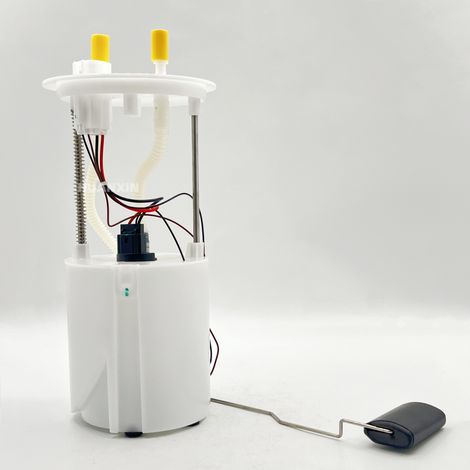 Fuel pump compatible with Hyundai Sorento 12-18 (Reference numbers: 31110-2w900 and 311102w900)--BIEMMEDUE