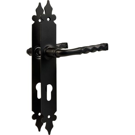 Türgriff Türklinke Türbeschlag aus Metall Schwarz matt auf Schild Profilzylinder