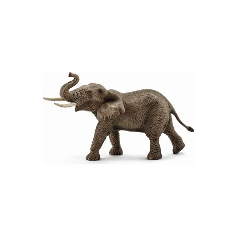 Elefante africano macho