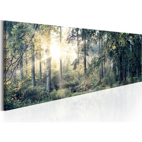 Quadro - Morning Magic - 150x50 (1/4)