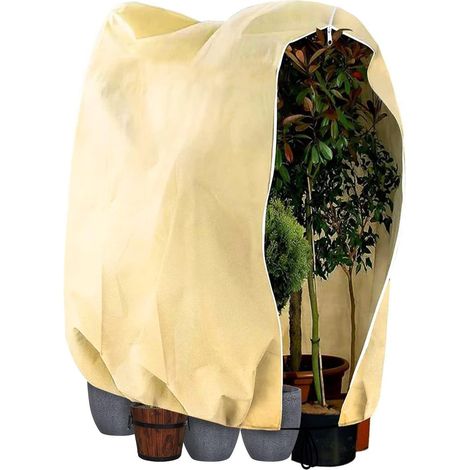 Hivernage Plante Exterieur,80g/m² Voile Hivernage Plante Exterieur 240 x 200CM, Housse d'hivernage pour Plante et arbuste Adapté à la Protection des Plantes en d'extérieur Utiliser en Hiver (1/5)