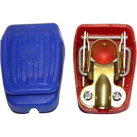 Cartec 2 Cosses Batteries a Serrage Rapide (+ et - (1/2)