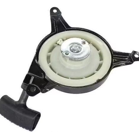 Démarreur manuel et vis pour démarreur de tondeuse à gazon Einhell GC-PM 46/2 SHW-E (1/4)