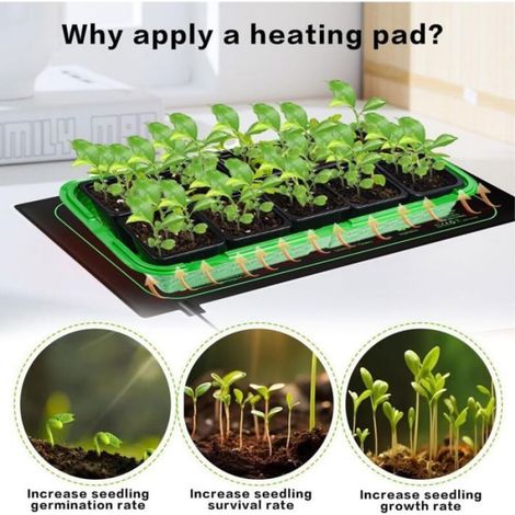 - Tapis Chauffant Plante, 20 x 10 in Tapis Chauffant Semis avec Thermostat, 50W Imperméable Tapis Chauffant pour Plantes, Régla (1/4)