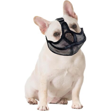 Museliere pour Chiens Petit,2 Pièces Muselières en Nylon pour Chiens,Muselière Souple Muselière Chien,Muselière Chien Petite Taille pour l'entraînement, pour éviter Les morsures et Les aboiements(S) (1/5)