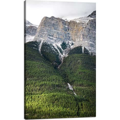 Leinwanddruck Natur Berghang Bäume 60x100