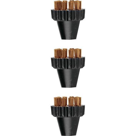 Kit de 3 petites brosses en laiton pour Polti Vaporetto Lecoaspira et Polti Unico PAEU0297 (1/3)