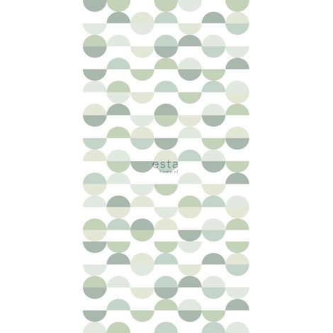 papier peint panoramique demi-cercles dans un style rétro vert  - ESTAhome (1/5)
