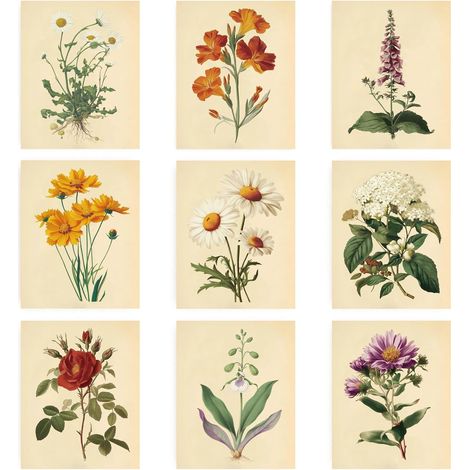 Lot de 9 impressions sur toile sans cadre de marguerites botaniques vintage - 20,3 x 25,4 cm - Décoration murale esthétique pour chambre à coucher, cuisine, salon (1/5)
