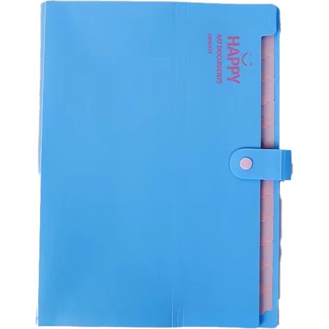 Dossier Accordéon - 12 Pochettes - Format A4 - Fermeture Par Bouton Pression - Organiseur De Documents (1/5)