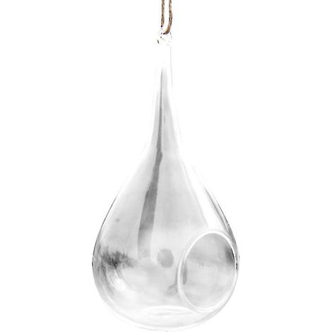 1 terrarium pour plantes (1/3)