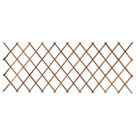 Reti, Telaio telescopico anticorrosione per muro da giardino - 44x31cm 1 pezzo - RWTreillis (1/3)