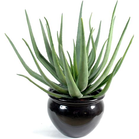 Plante artificielle haute gamme Spécial extérieur / Aloevera artificielle - Dim : 70 x 40 cm -PEGANE- (1/3)