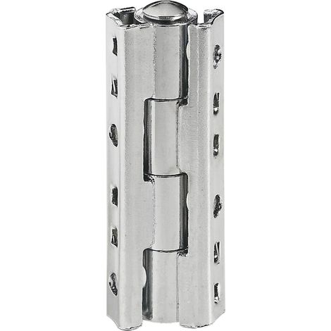 Charnière Universelle Hettich 50x10mm Laiton Chromé Blister 2pcs (1/2)