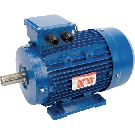 Moteur électrique 3 kW UNIVERSEL EM100LB4B3500IE3A (1/4)