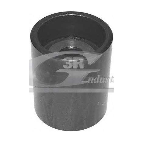 3RG 13728 RODILLO TENSOR
