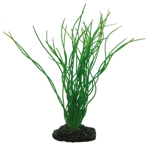 Hobby Sagittaria, 20 cm - künstliche Aquarienpflanze