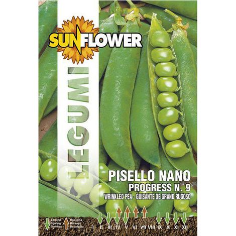 Graines de pois nano Progress 9 Tournesol