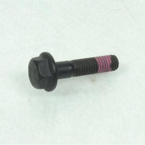 Schraube M8x1.25xL35mm für Motorrad Triumph Tiger 885I 1999-2000 (1/5)