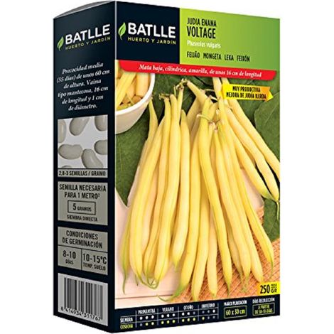 Semi Battle – Fagiolo Enana